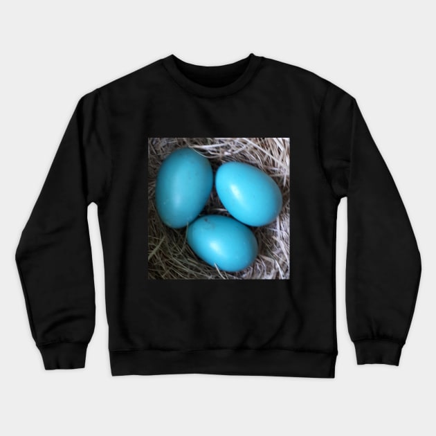 Robin Blue Eggs in Nest Crewneck Sweatshirt by Judy Geller